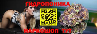 шишки Наро-Фоминск