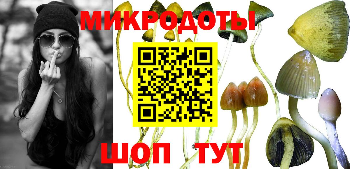 Псилоцибиновые грибы ЛСД  Галлюциногенные грибы Psilocybine cubensis  Иркутск  Вход с VPN 