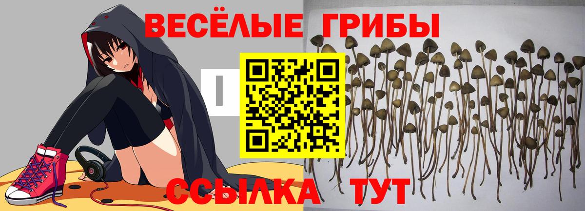 Псилоцибиновые грибы прущие грибы Иркутск